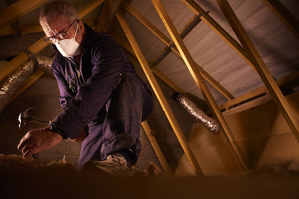 Attic Insulation Near Me in Cleveland, FL